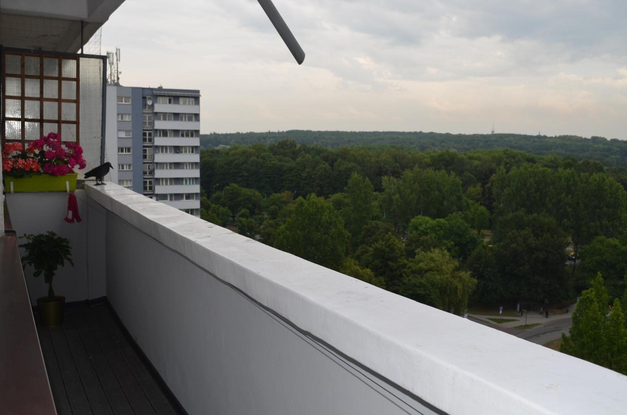Silesia Park - Free Parking - Easy Check-in Apartment